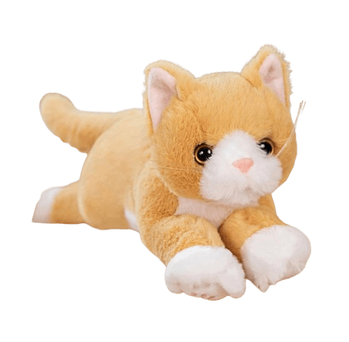 Cat teddy