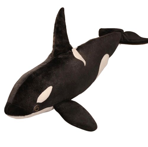 Killer whale teddy