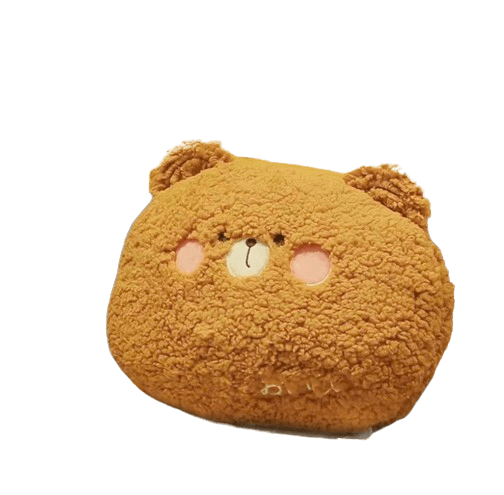 Teddy bear pillow