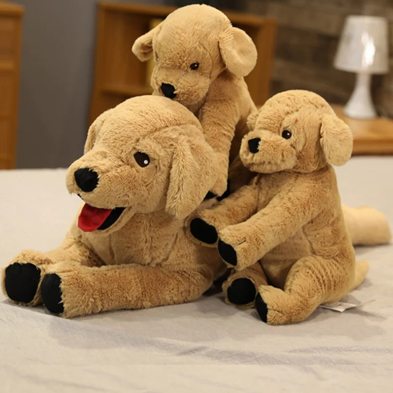 Labrador teddy