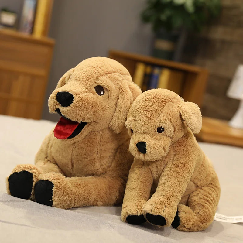 Labrador teddy