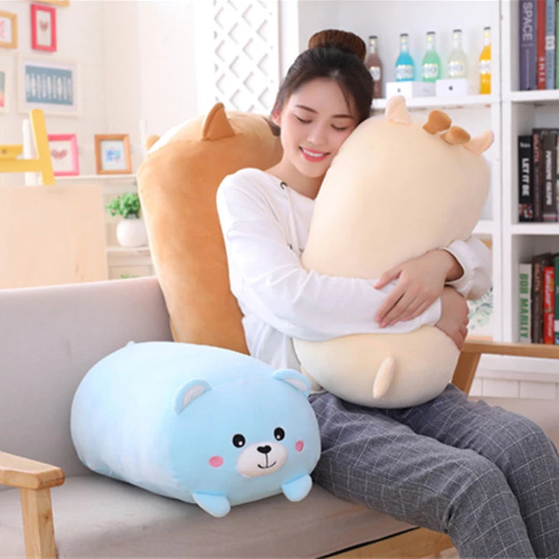 Pillow teddy