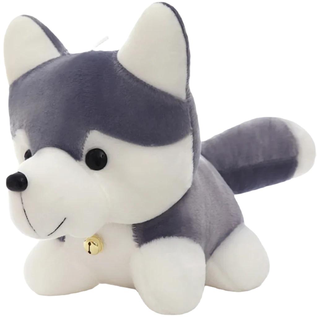 Husky dog teddy