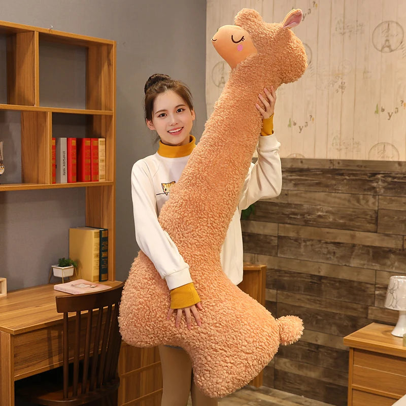 Huge teddy