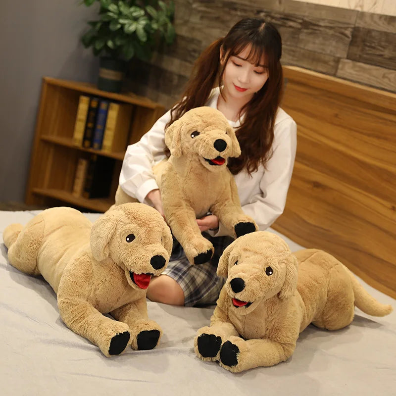 Labrador teddy