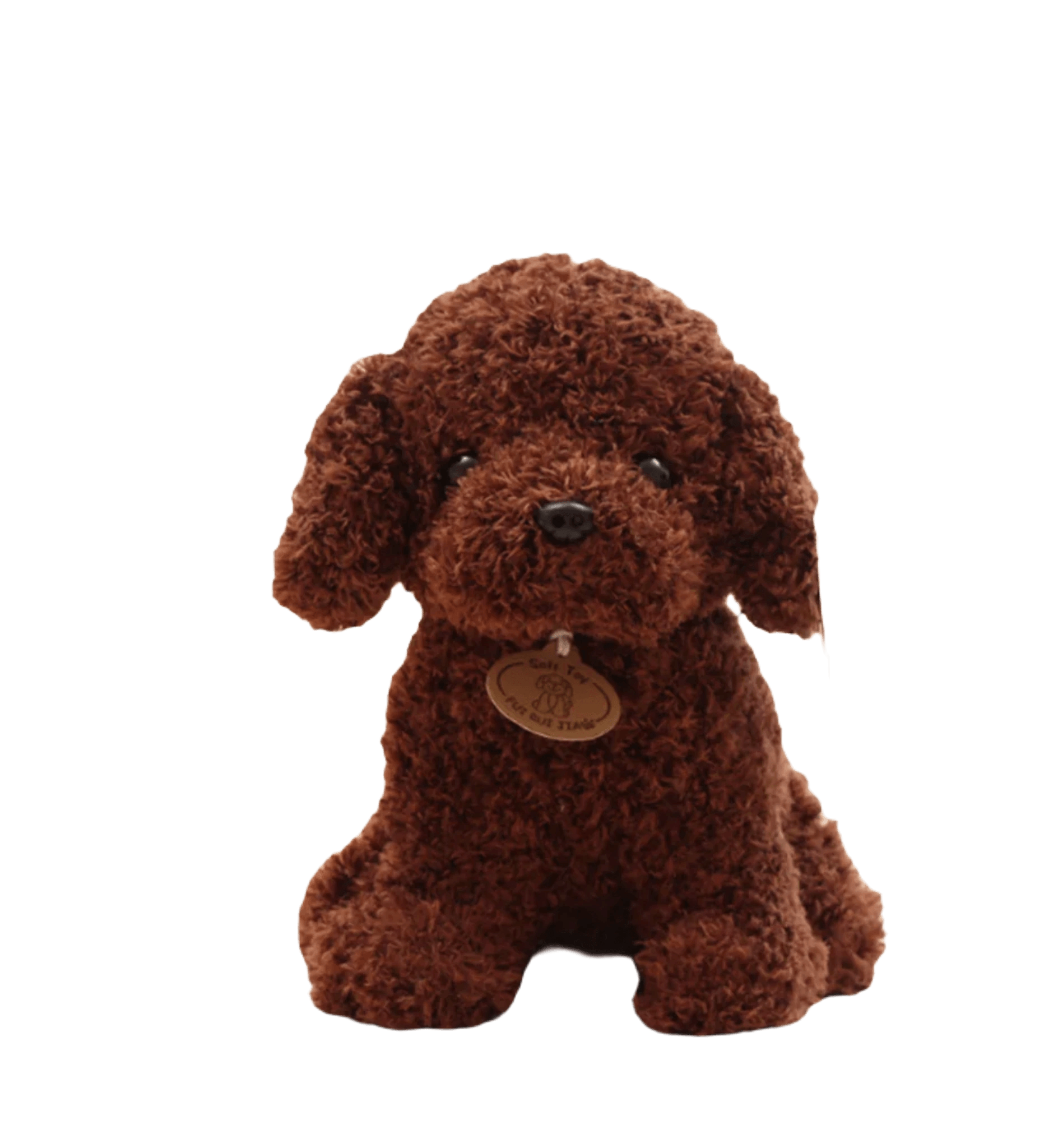 Teddy bear cut on cockapoo