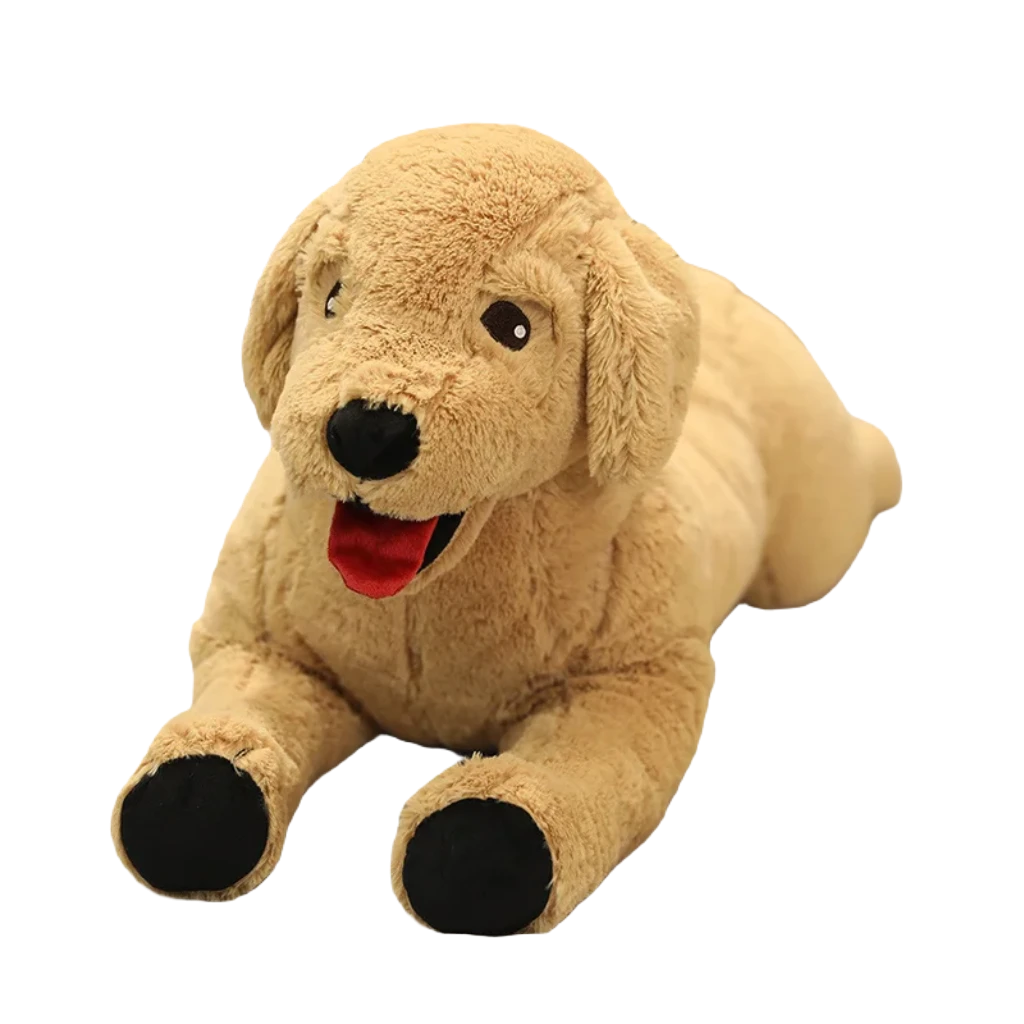 Labrador teddy