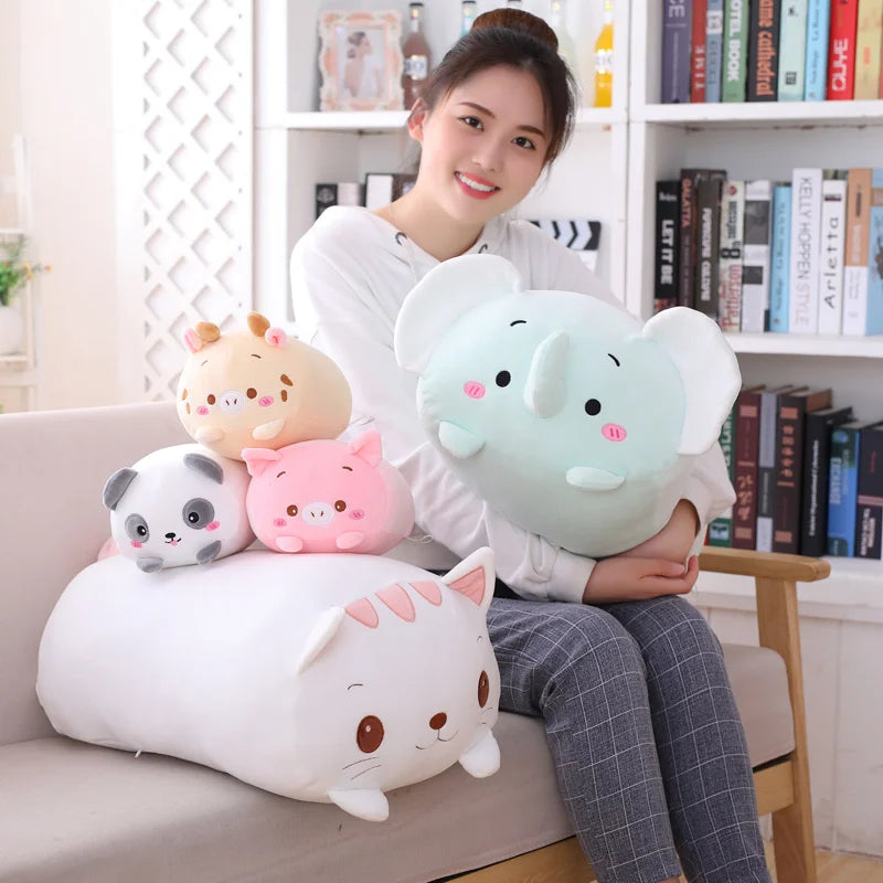 Pillow teddy