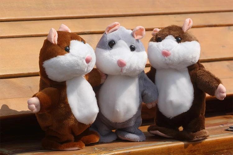 Hamster teddy