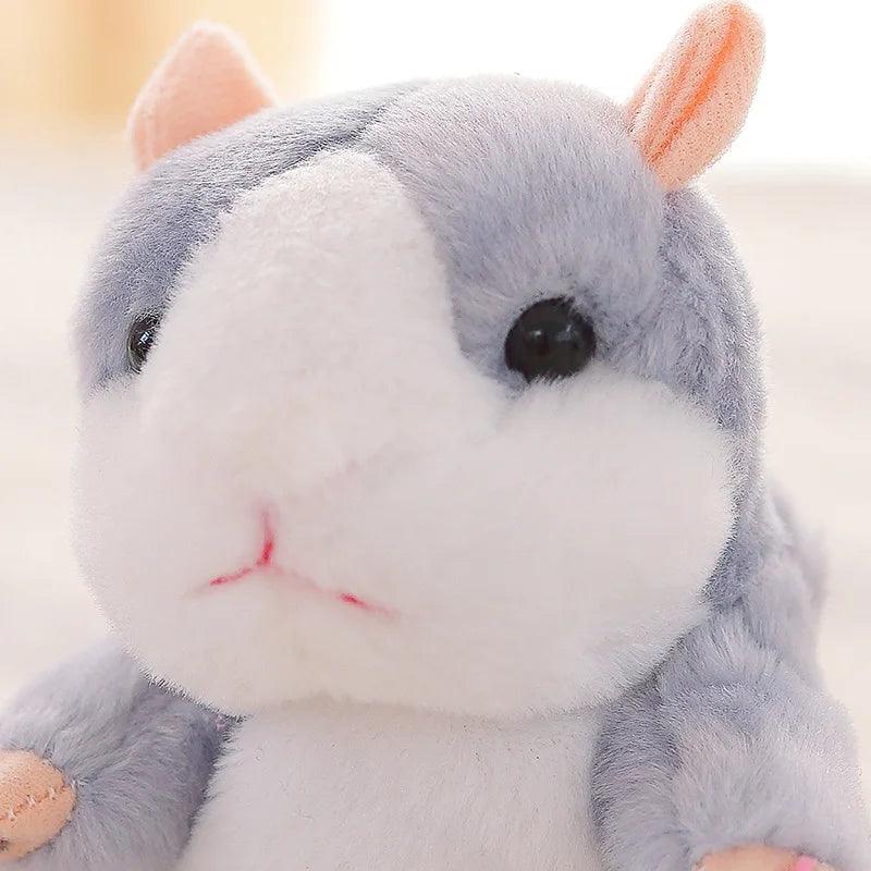 Hamster teddy