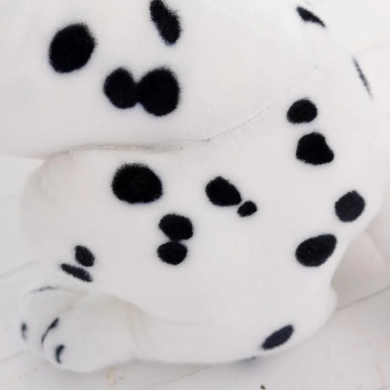 Dalmatian teddy