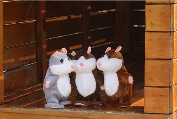 Hamster teddy