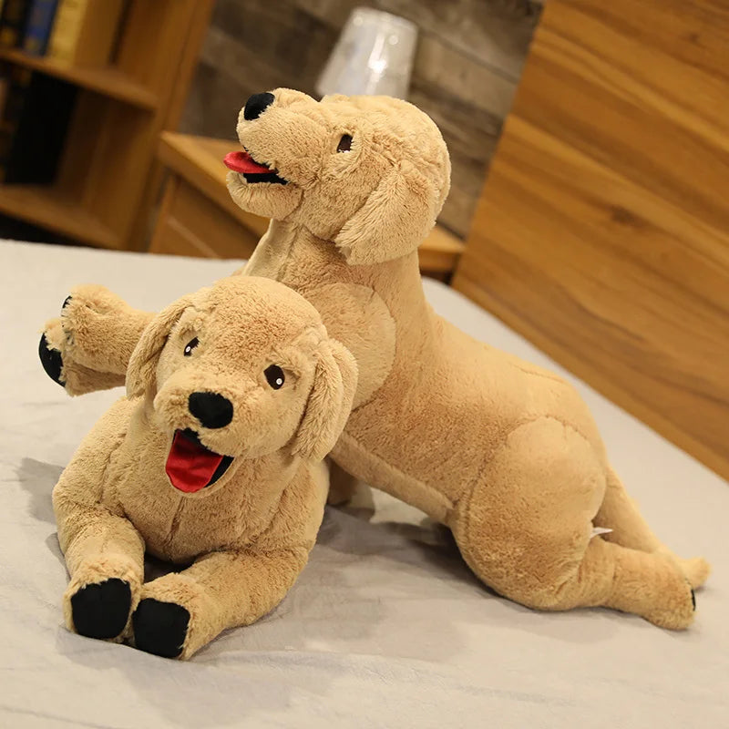 Labrador teddy