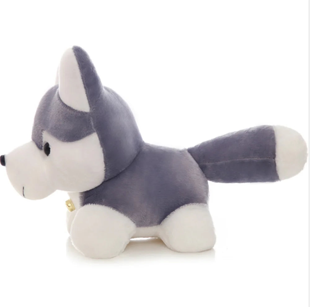 Husky dog teddy