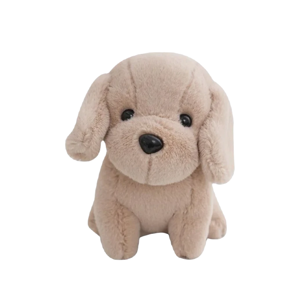 Teddy dog