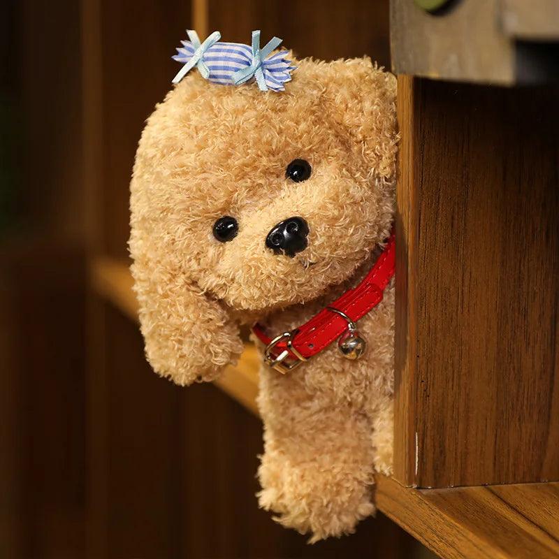 Teddy bear poodle