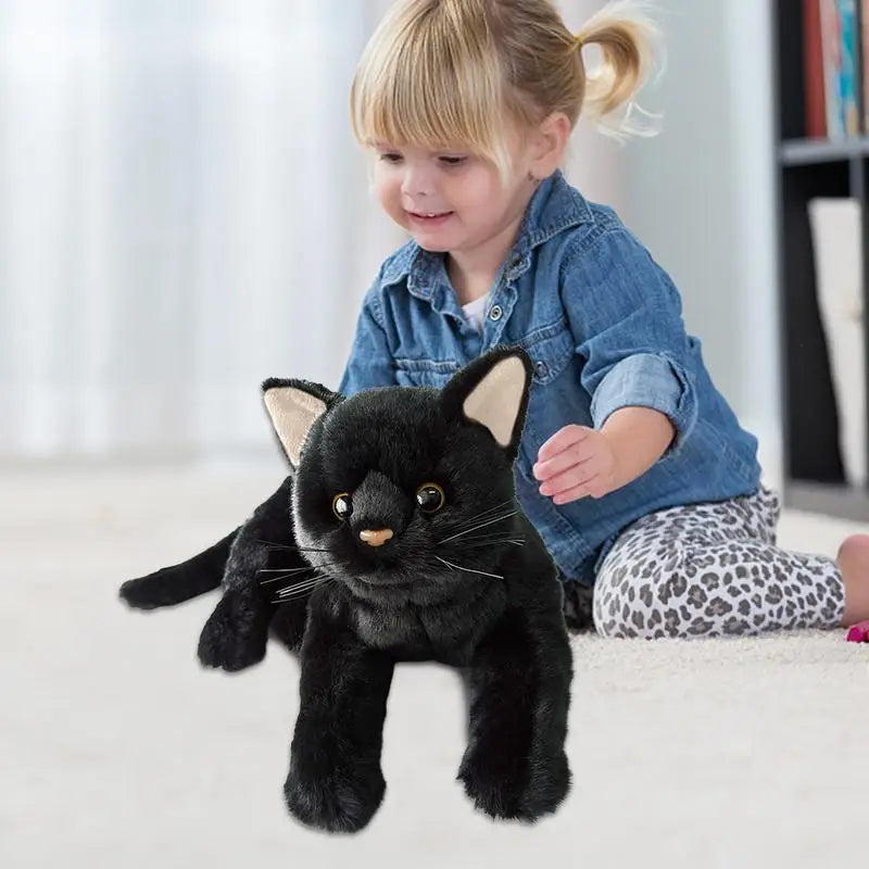 Black cat teddy