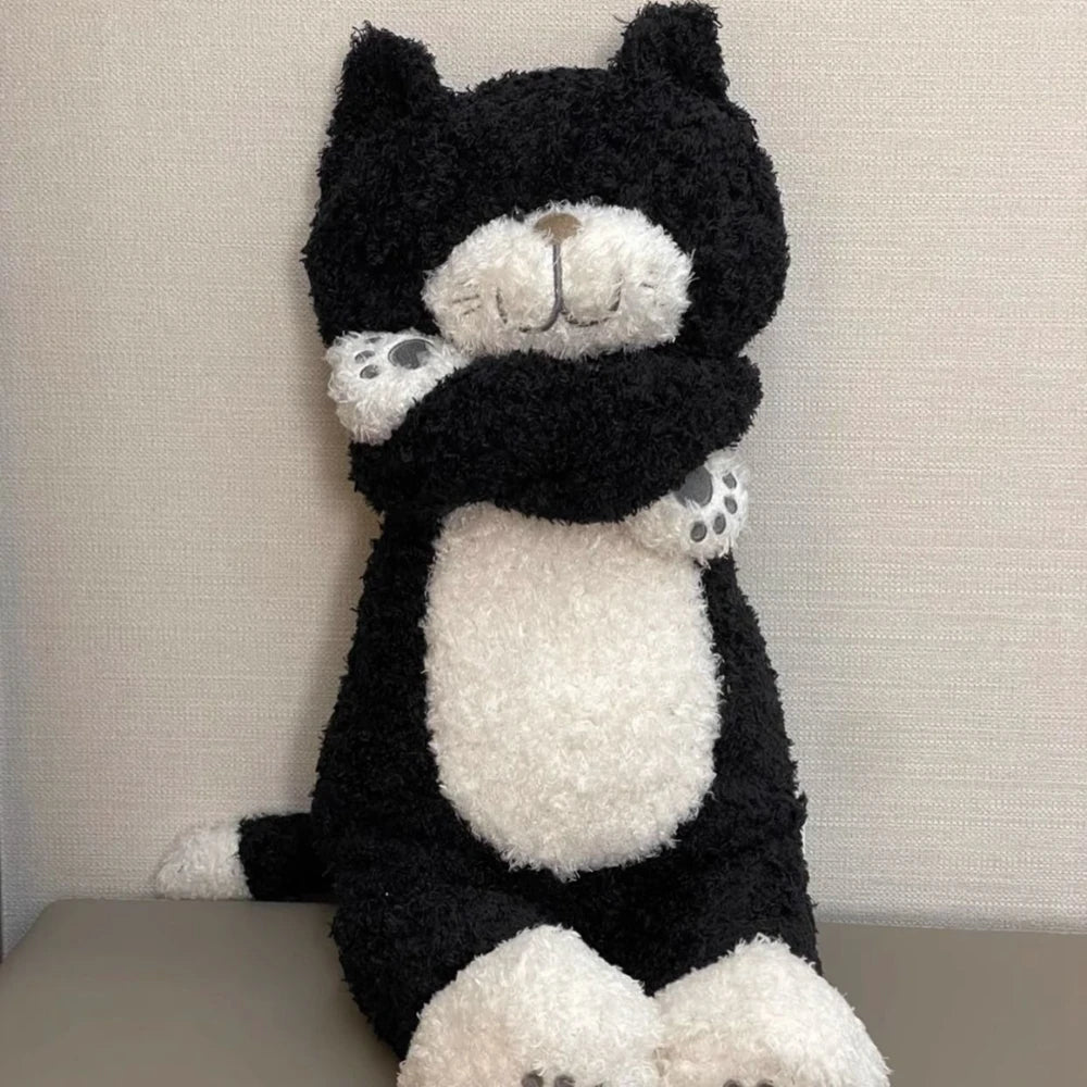 Black and white cat teddy