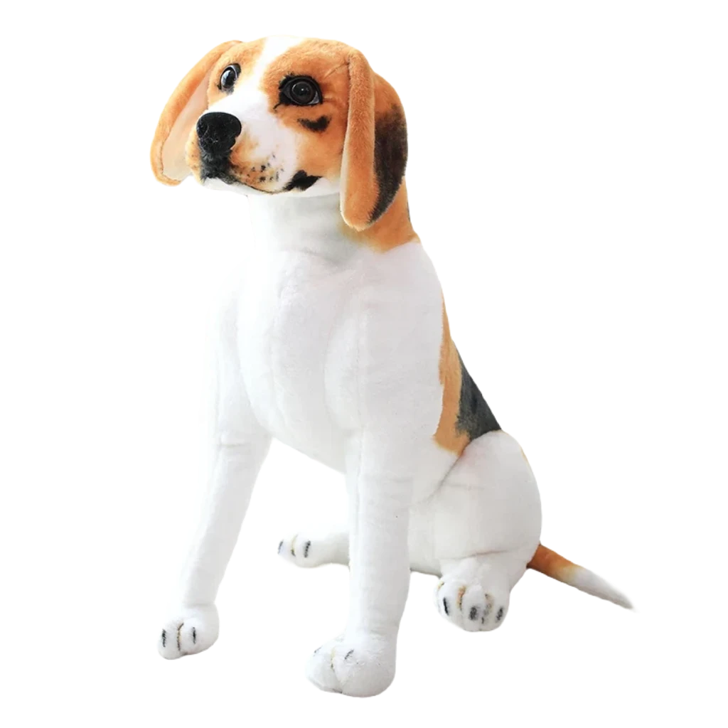 Beagle dog teddy