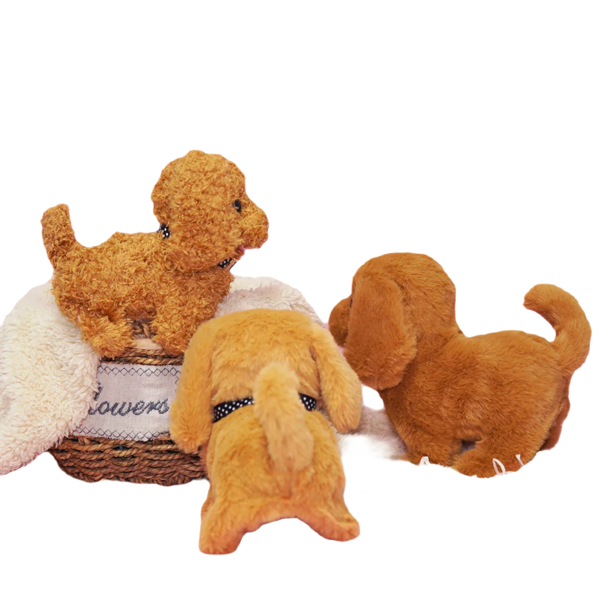 Cockapoo teddy bear