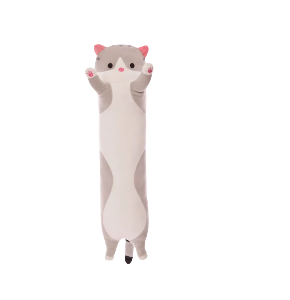 Long cat teddy