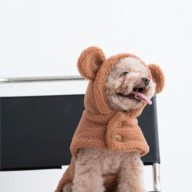 Teddy bear apparel