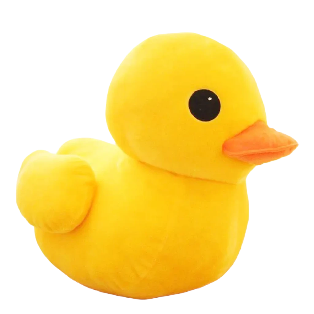 Teddy bear duck