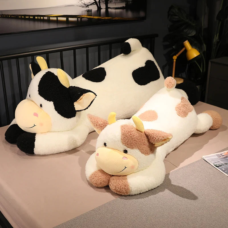 Teddy cow