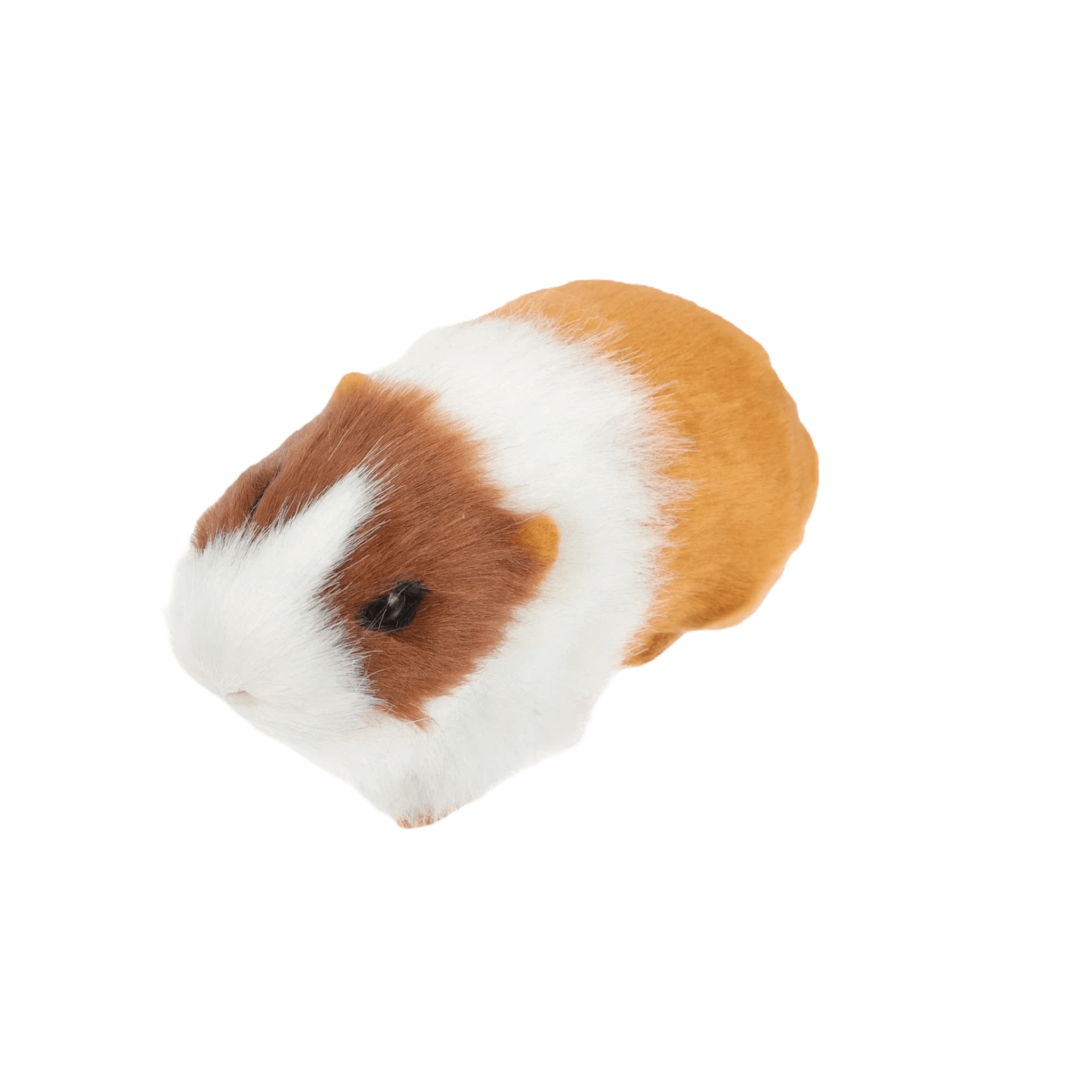 Guinea pig plush