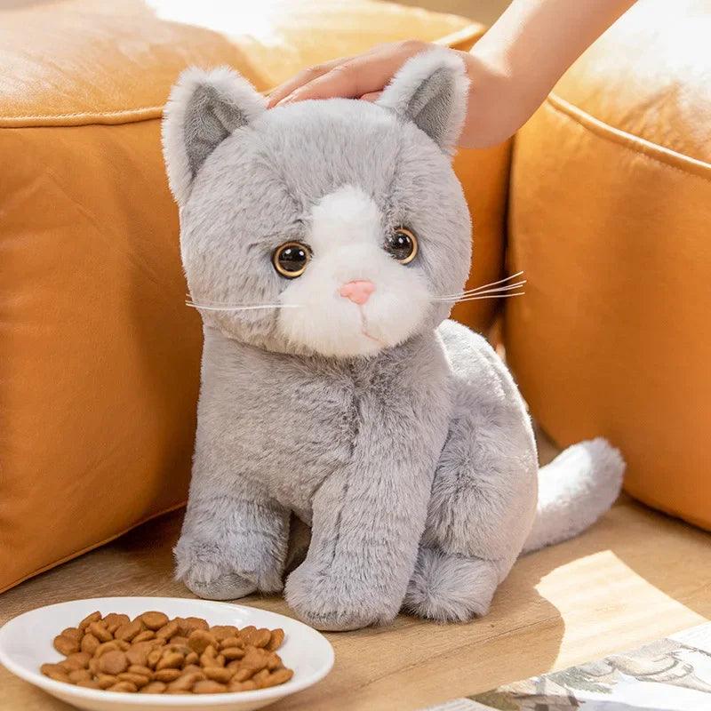 Black cat plush