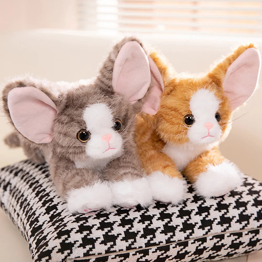 Cat plush animal