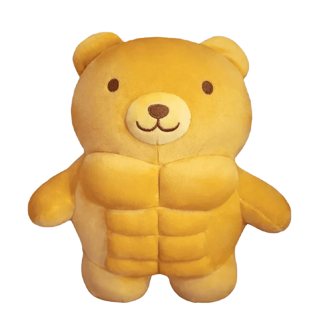 Teddy bear for boyfriend