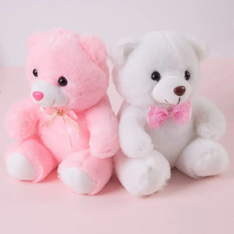 Love heart teddy