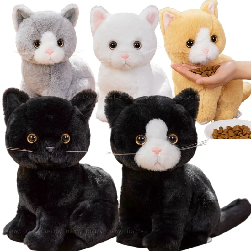 Black cat plush