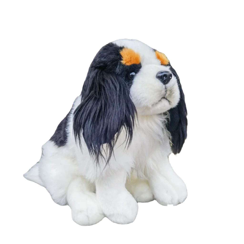 Cavalier king charles teddy