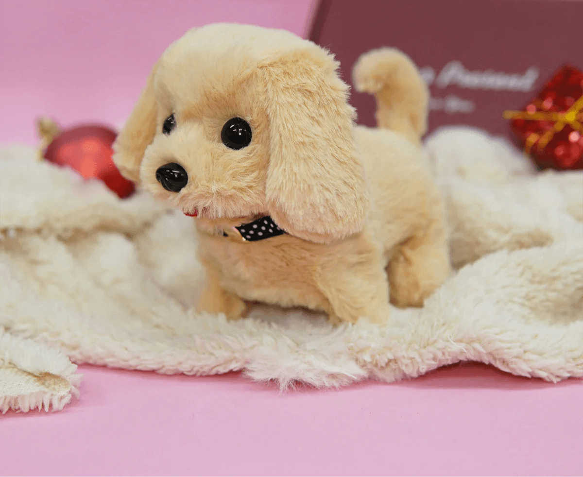 Teddy bear dog price