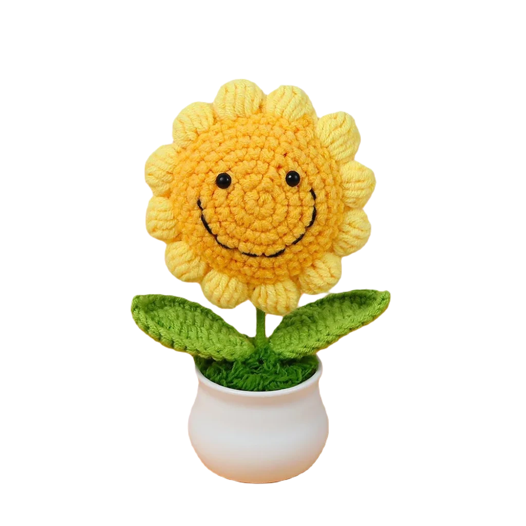 Teddy sunflower