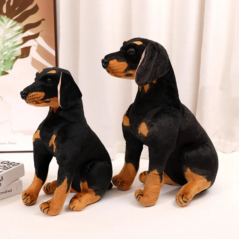 Rottweiler teddy