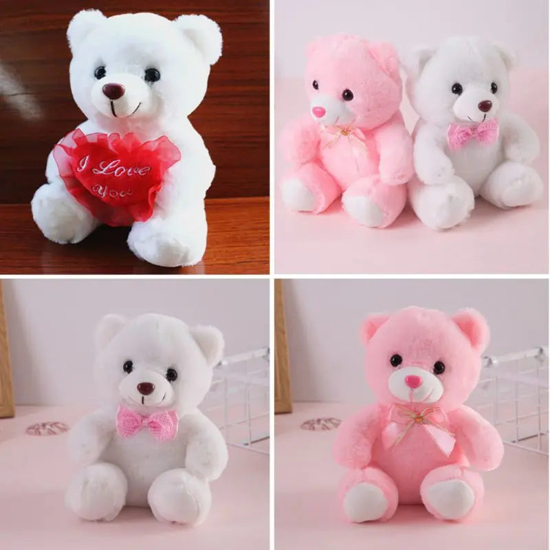 Love heart teddy