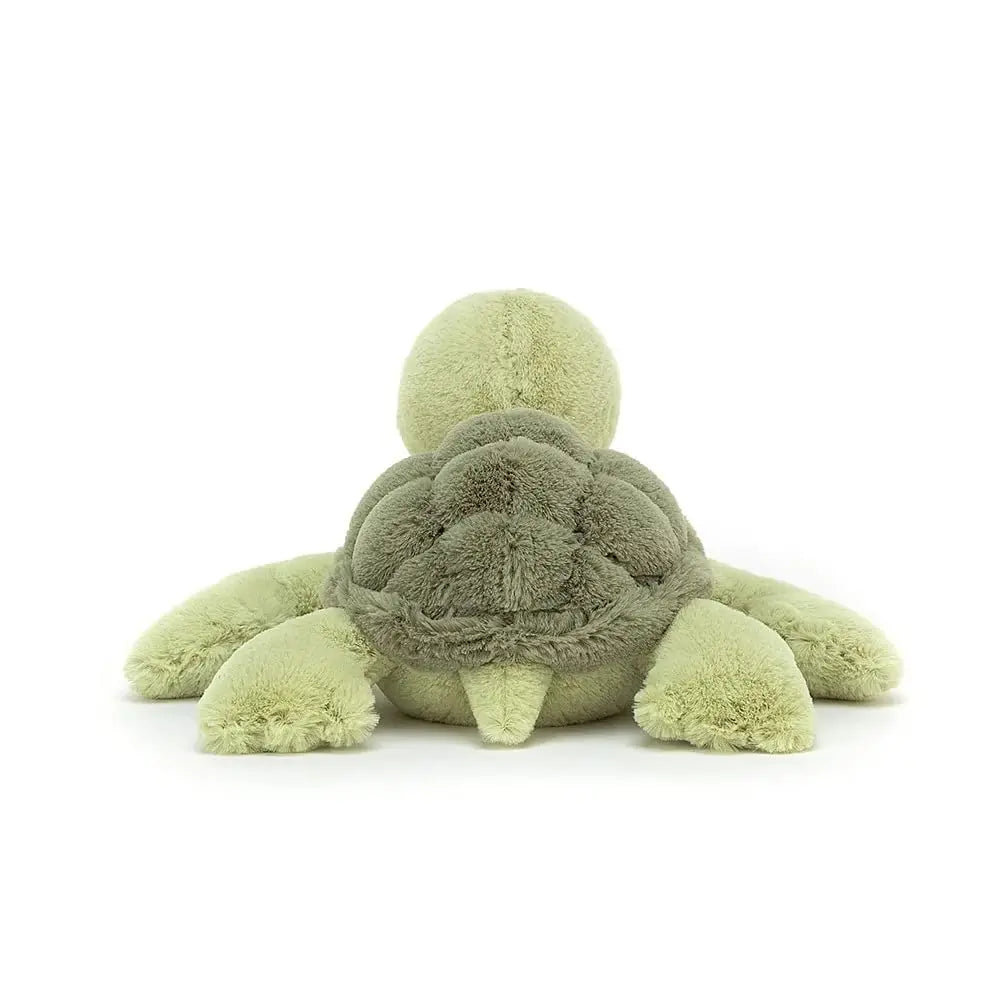 Tortoise teddy