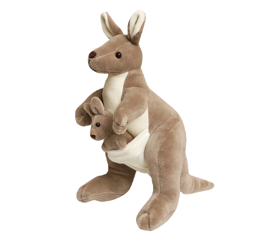 Teddy kangaroo