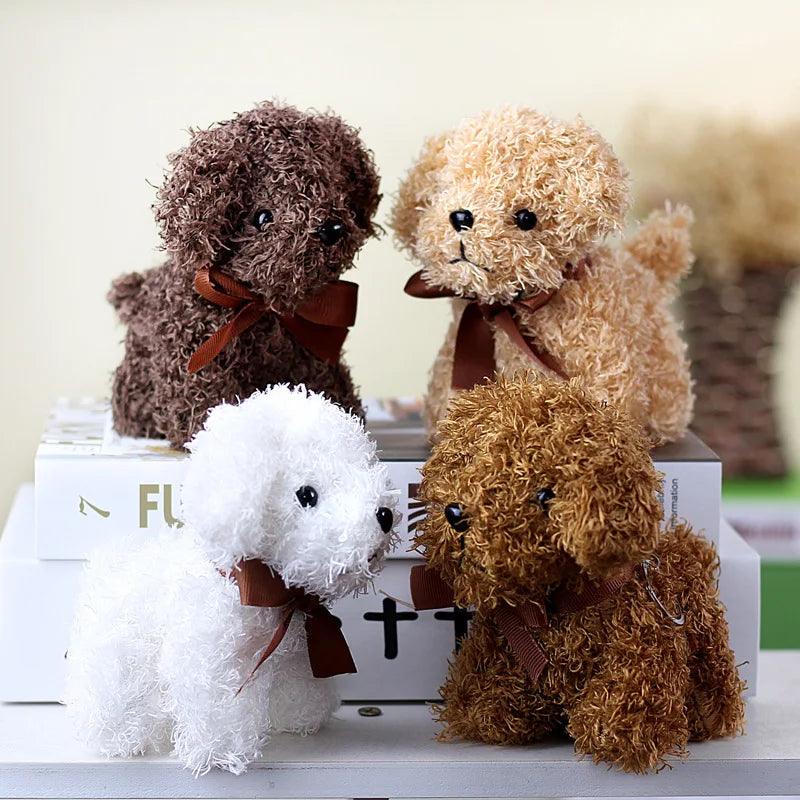 Teddy bear dogs