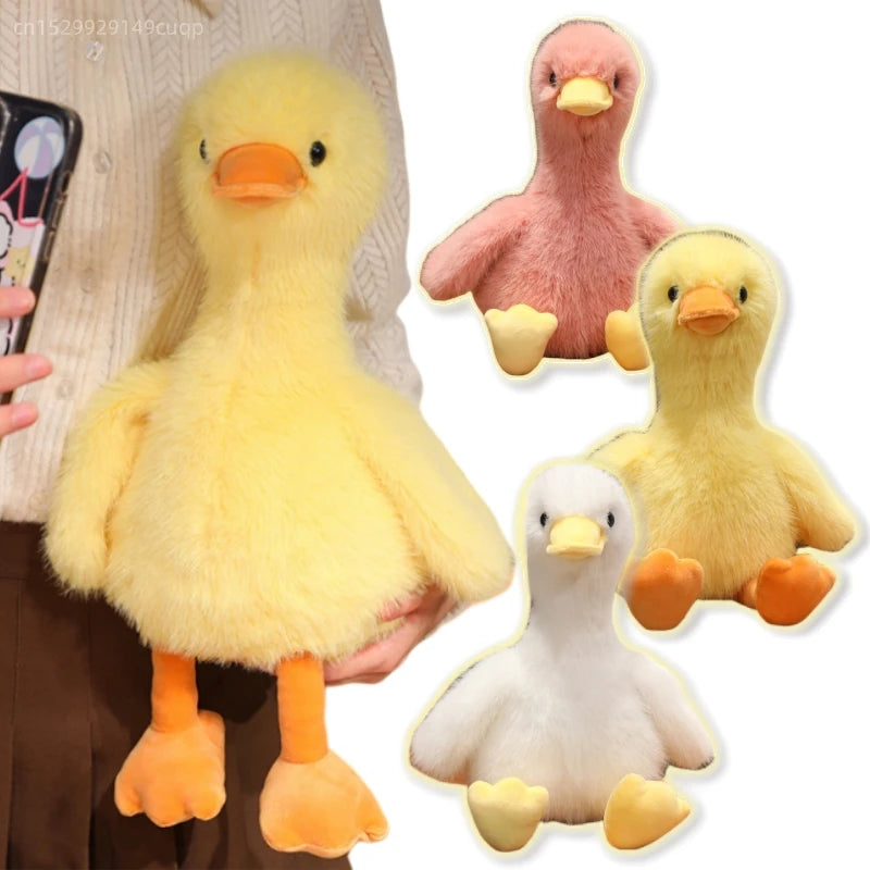 Duck plush toy