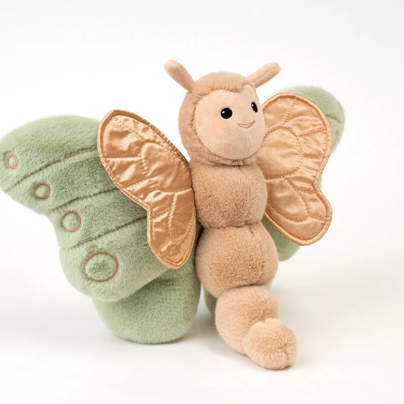 Butterfly teddy