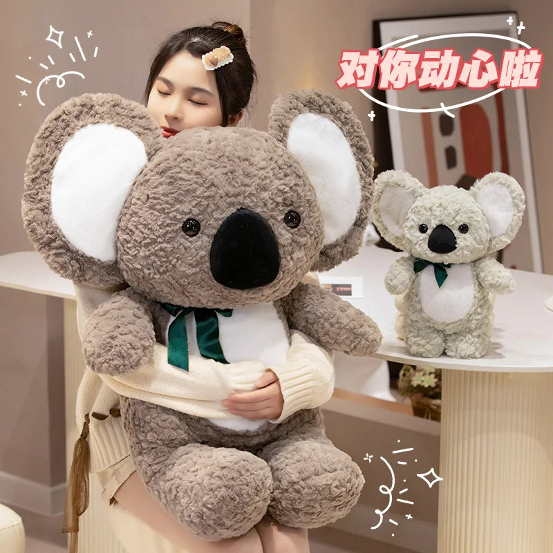 Teddy koala