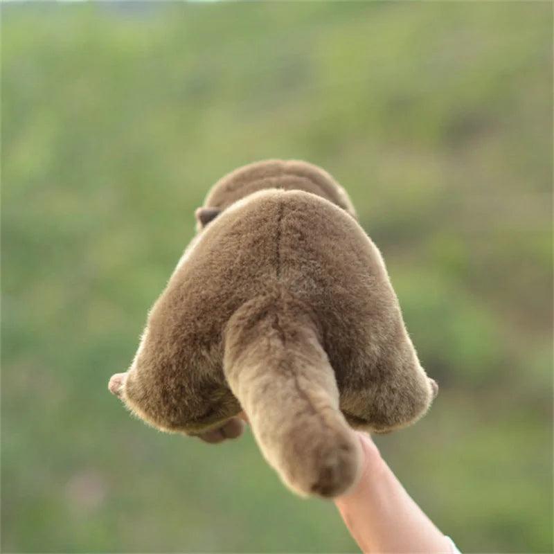 Otter teddy