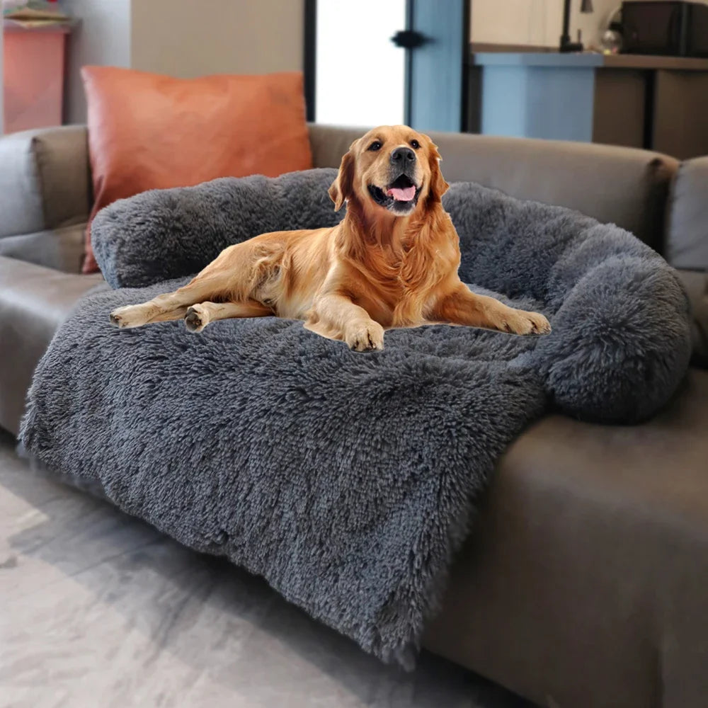 Plush couch bed