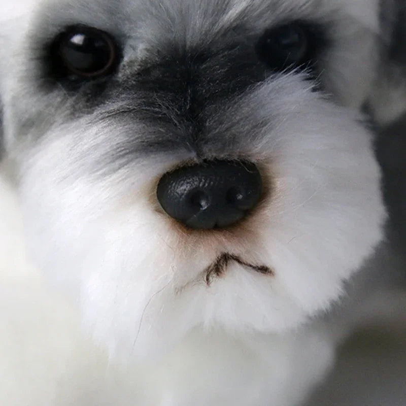 Fluffy dog teddy bear