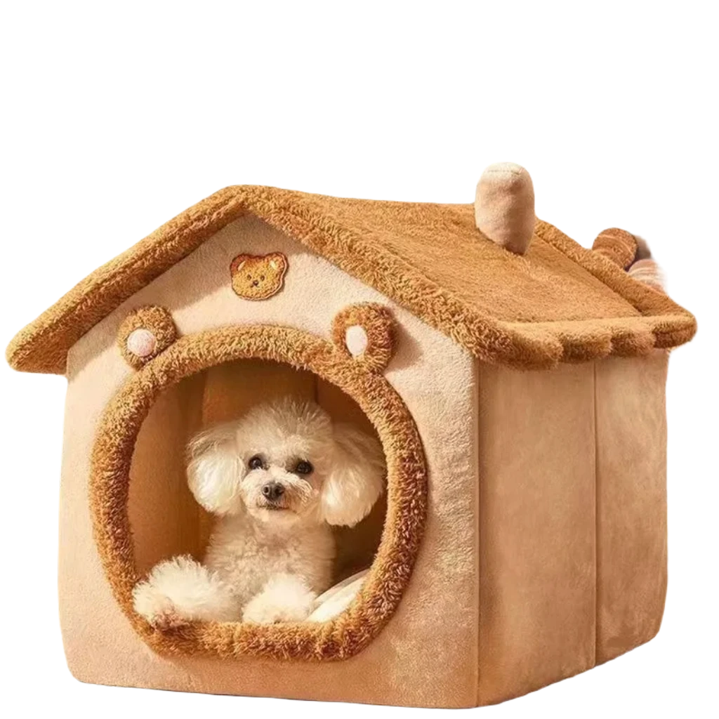 Teddy dog bed