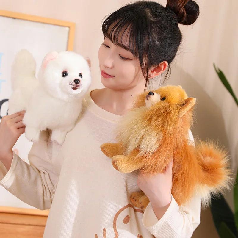 Pomeranian plush toy